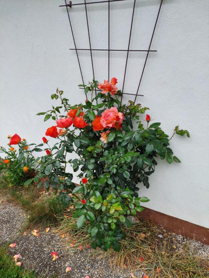 Landhaus Perktold Nesselwängle Buitenkant foto