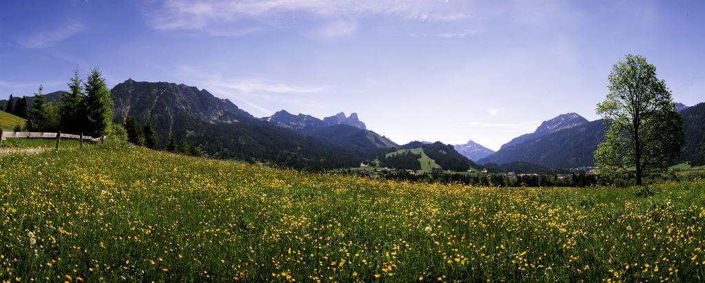Landhaus Perktold Nesselwängle Buitenkant foto