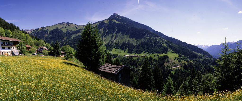 Landhaus Perktold Nesselwängle Buitenkant foto