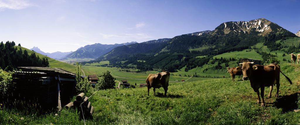 Landhaus Perktold Nesselwängle Buitenkant foto